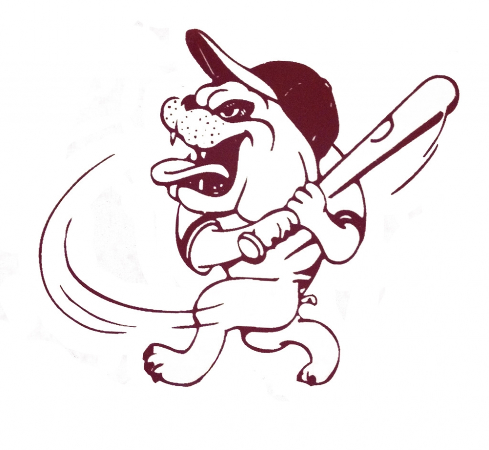 Diamond Dogs Logo Design 48hourslogo