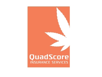 QuadScore Insurance Services logo design by nehel