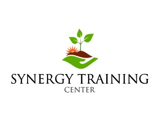 SYNERGY  TRAINING CENTER logo design by jetzu