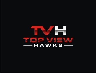 Top View Hawks logo design by bricton
