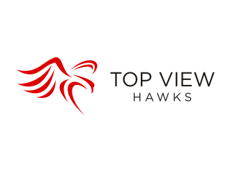 Top View Hawks logo design by enilno