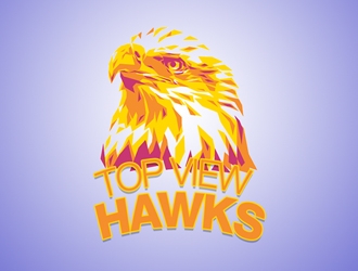 Top View Hawks logo design by 69degrees