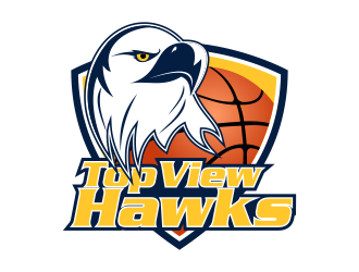 Top View Hawks logo design by Kruger