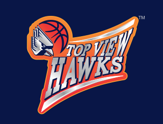 Top View Hawks logo design by MCXL