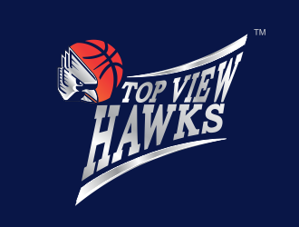 Top View Hawks logo design by MCXL