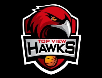Top View Hawks logo design by Vincent Leoncito