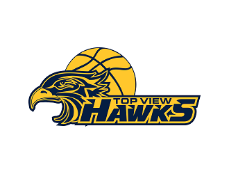 Top View Hawks logo design by Republik