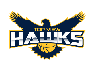 Top View Hawks logo design by done