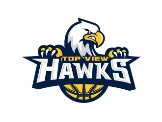 Top View Hawks logo design by firstmove