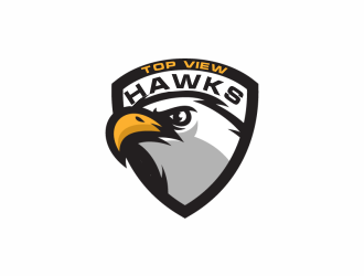 Top View Hawks logo design by gcreatives