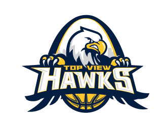 Top View Hawks logo design by firstmove