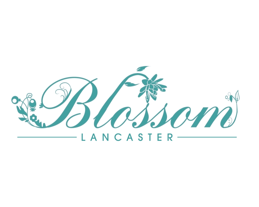 Blossom Med Spa logo design by jaize