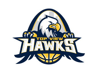 Top View Hawks logo design by firstmove