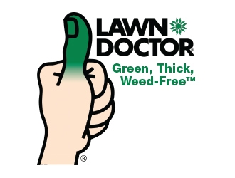 Green,Thick, Weed-Free logo design by wenxzy
