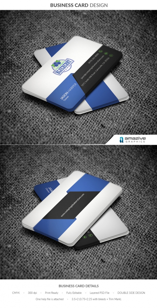 Cool Springs Blueberry Farm logo design by amazive