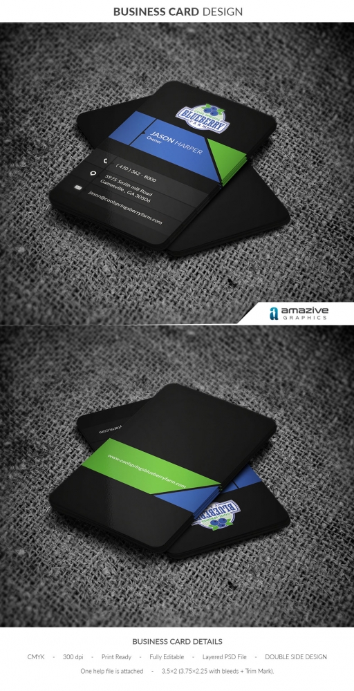 Cool Springs Blueberry Farm logo design by amazive