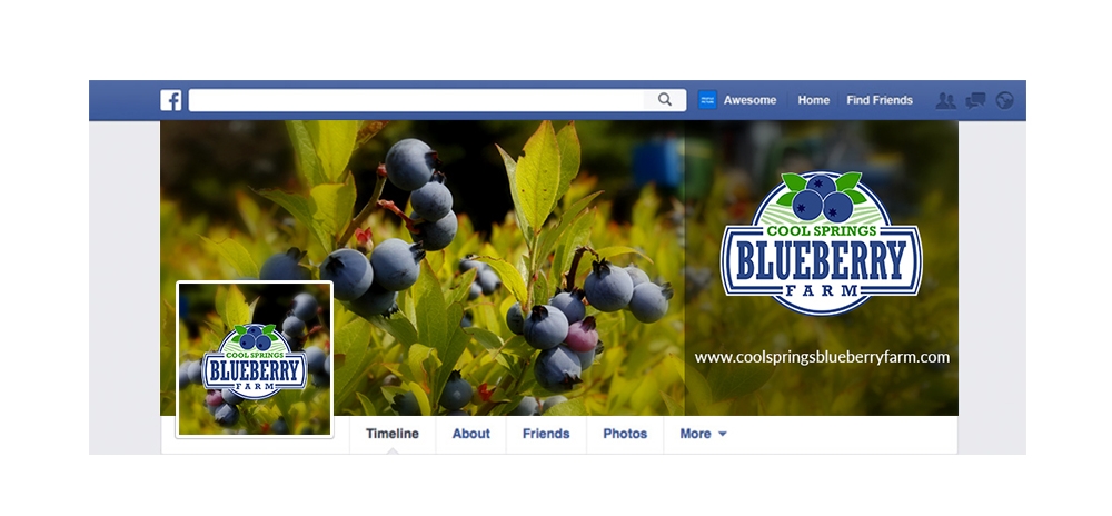 Cool Springs Blueberry Farm logo design by amazive