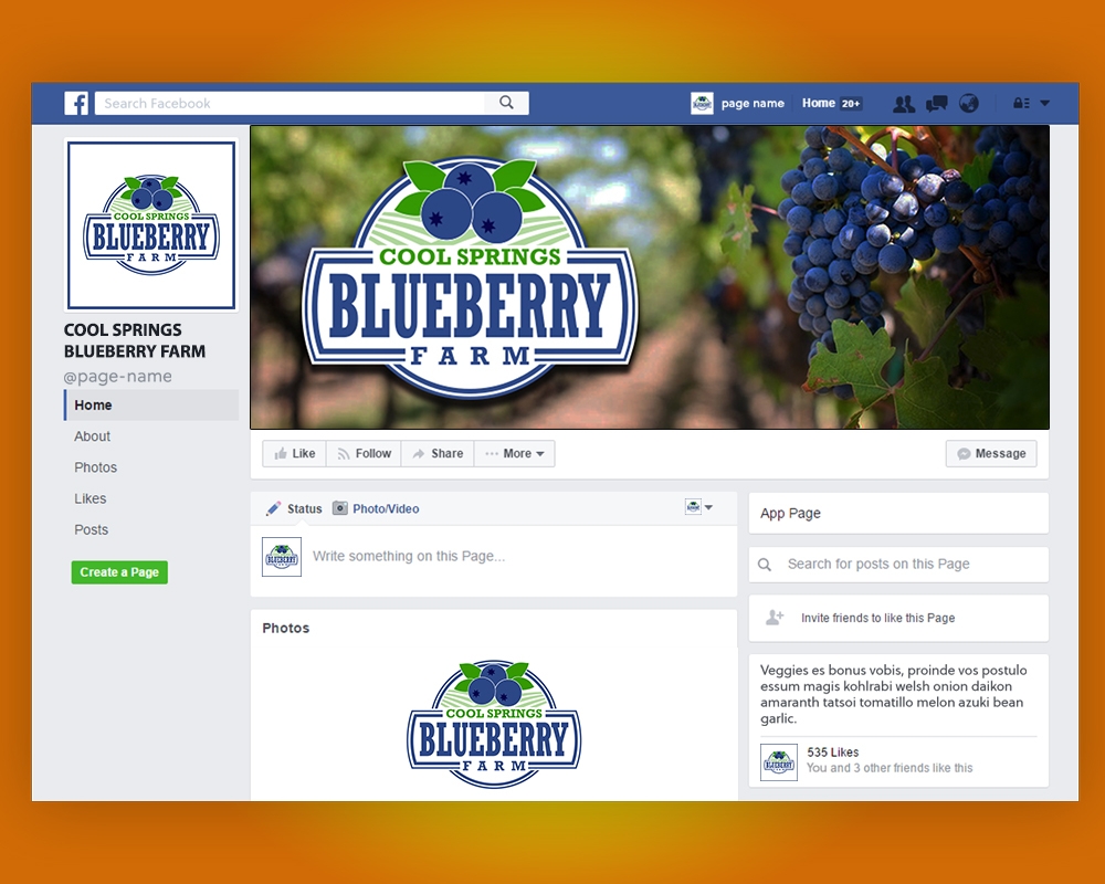 Cool Springs Blueberry Farm logo design by MastersDesigns