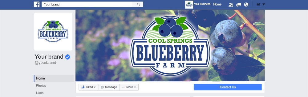 Cool Springs Blueberry Farm logo design by mattlyn