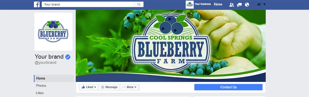 Cool Springs Blueberry Farm logo design by mattlyn