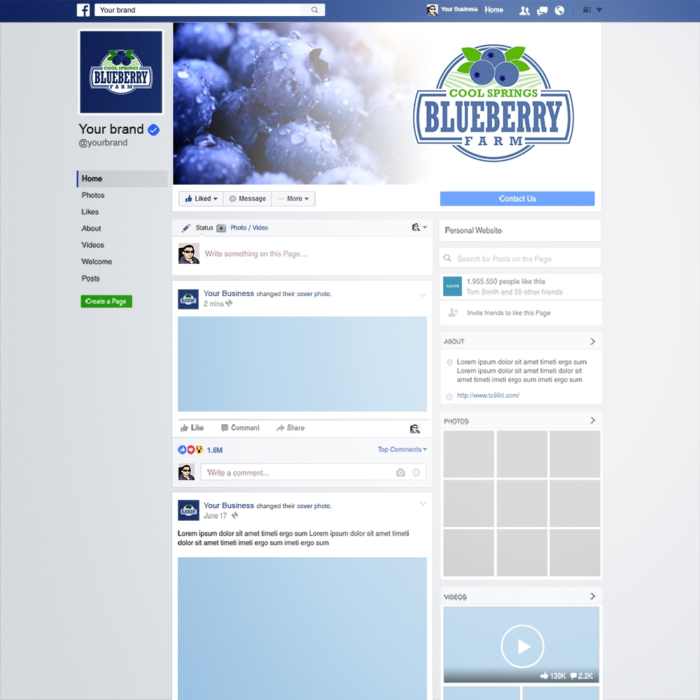 Cool Springs Blueberry Farm logo design by Kindo