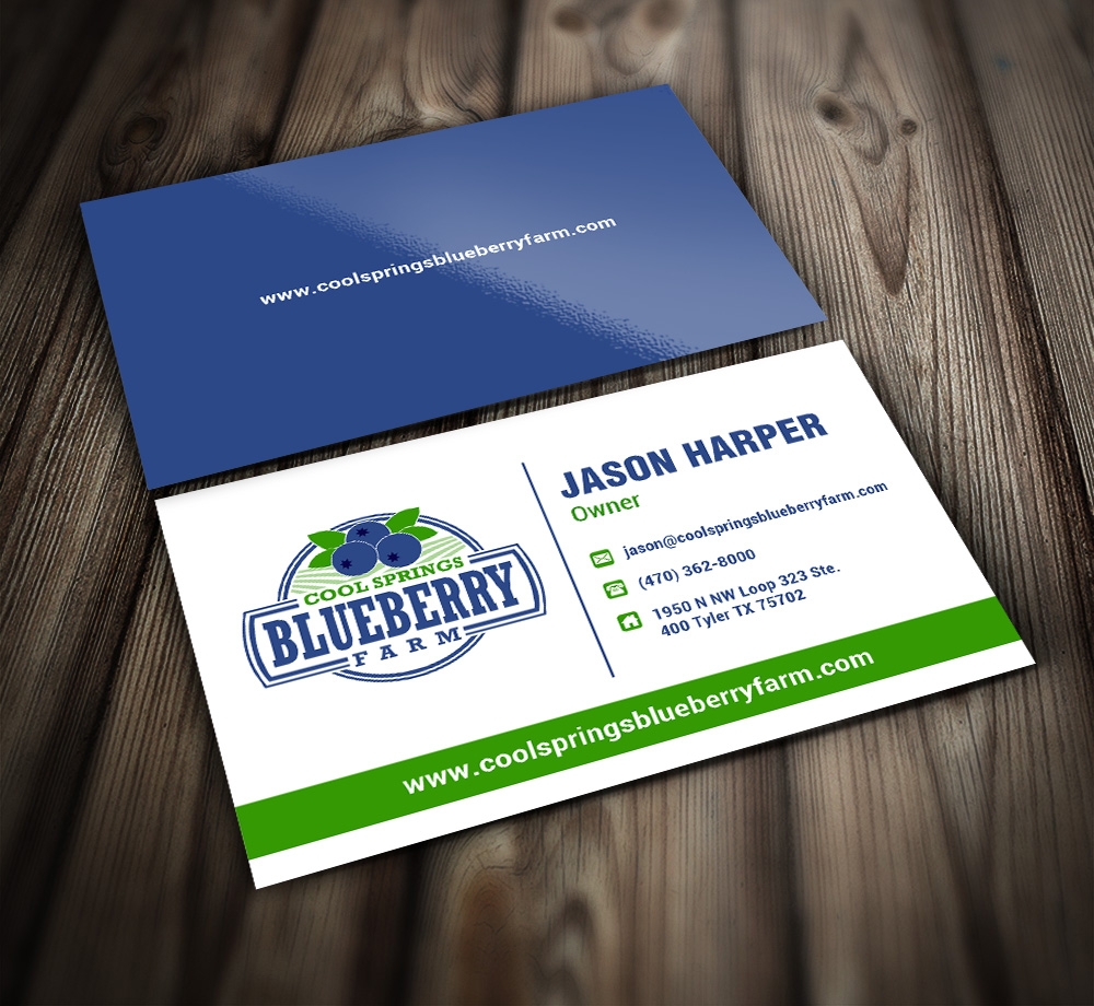 Cool Springs Blueberry Farm logo design by mattlyn