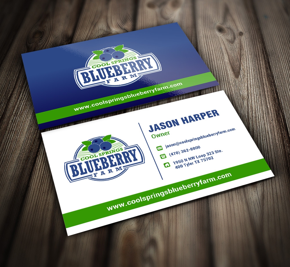 Cool Springs Blueberry Farm logo design by mattlyn