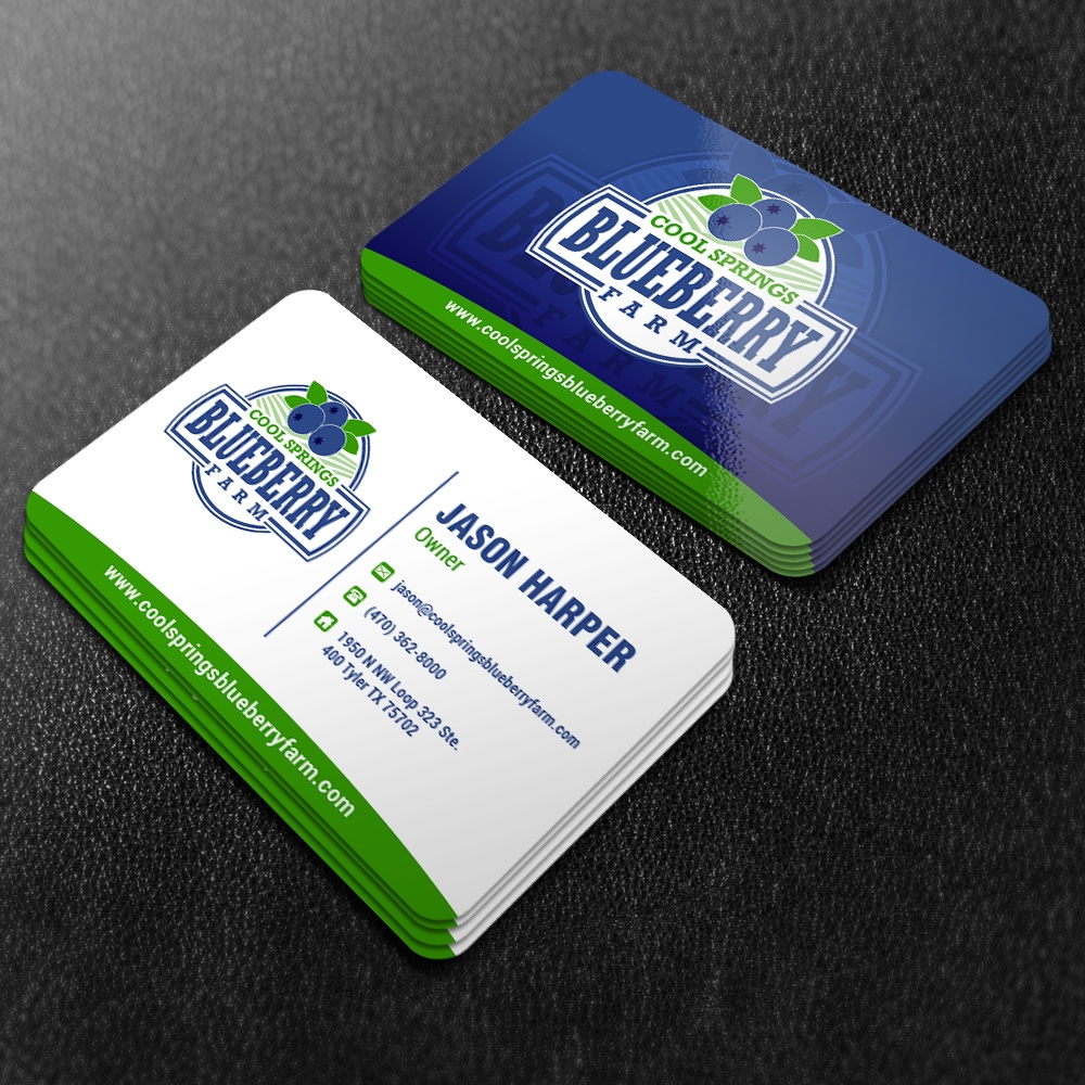 Cool Springs Blueberry Farm logo design by mattlyn