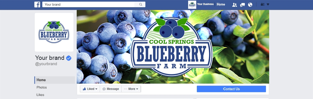 Cool Springs Blueberry Farm logo design by mattlyn