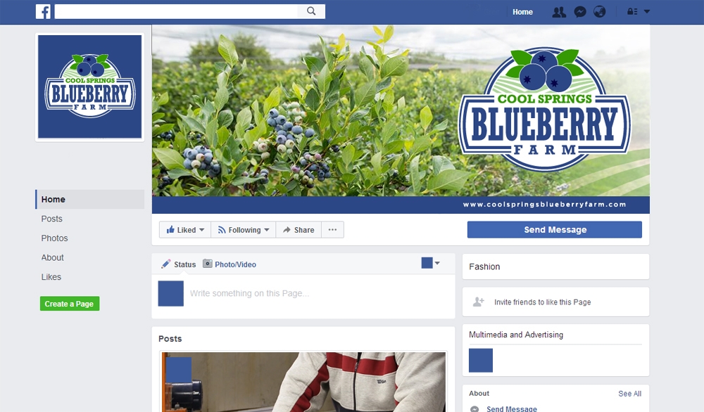 Cool Springs Blueberry Farm logo design by scriotx