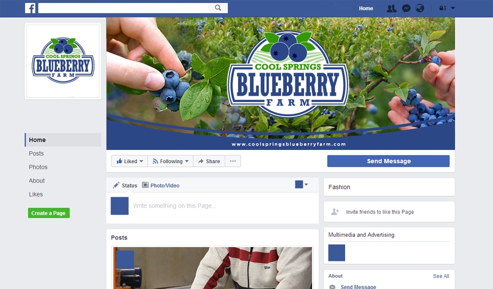  logo design by scriotx