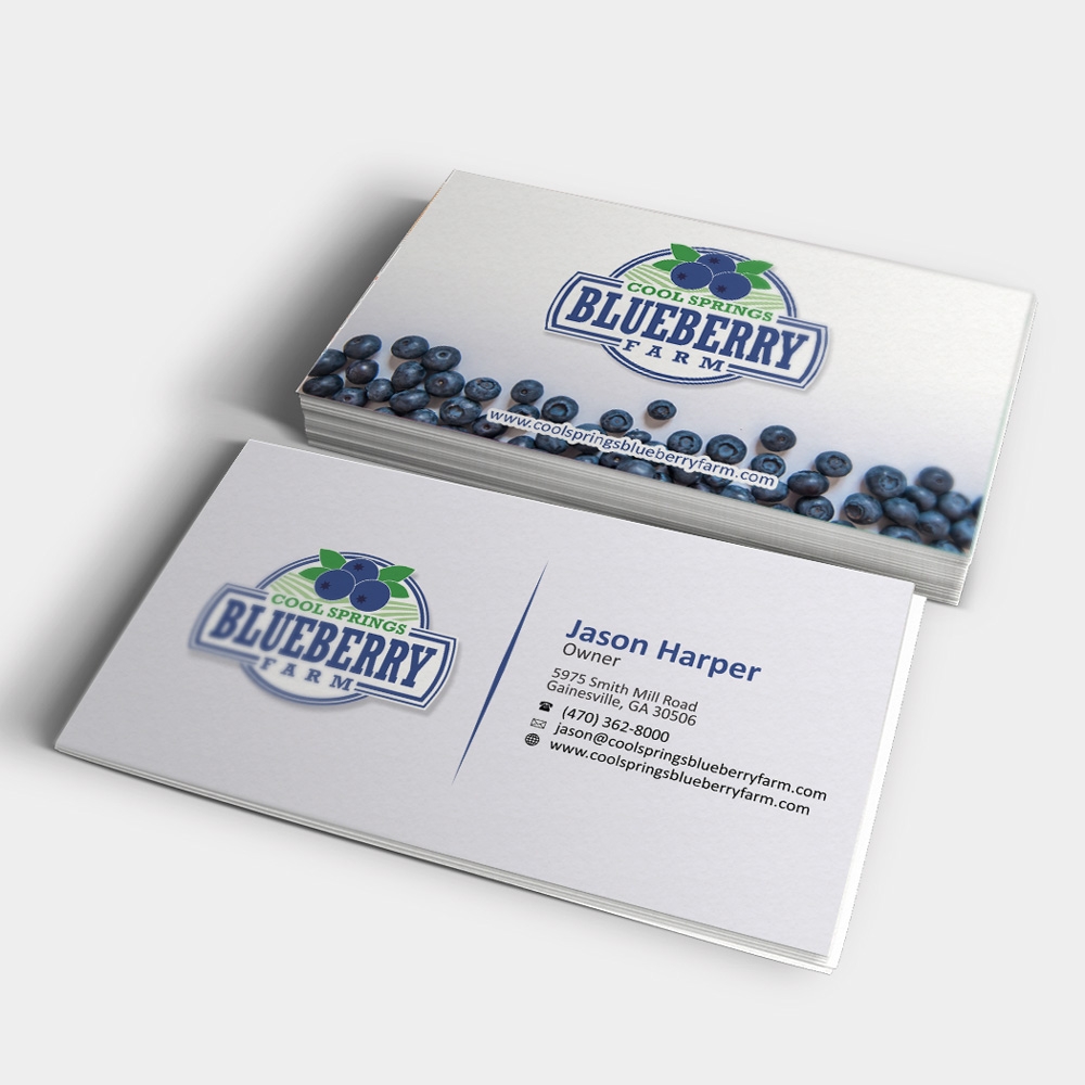 Cool Springs Blueberry Farm logo design by mletus