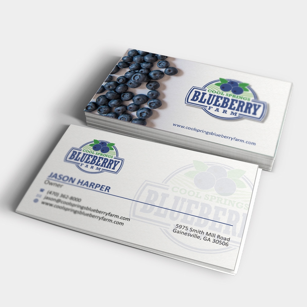 Cool Springs Blueberry Farm logo design by mletus