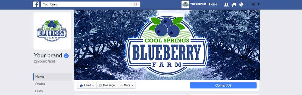 Cool Springs Blueberry Farm logo design by mattlyn