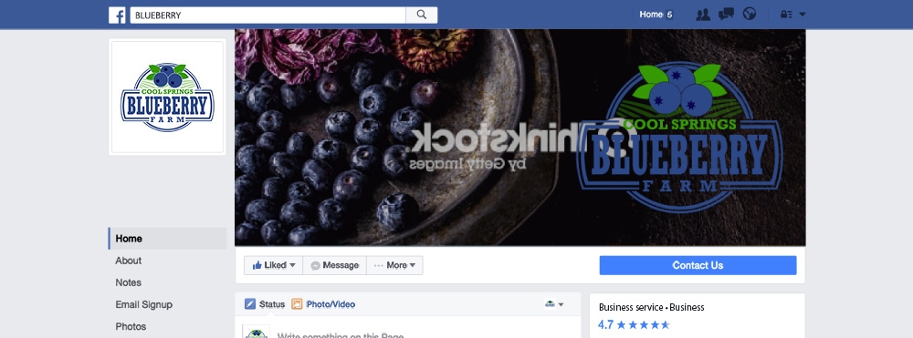 Cool Springs Blueberry Farm logo design by Art_Chaza