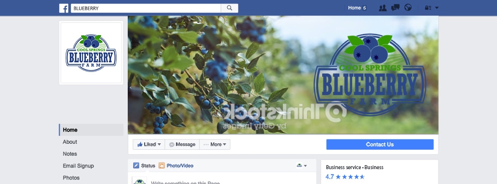 Cool Springs Blueberry Farm logo design by Art_Chaza