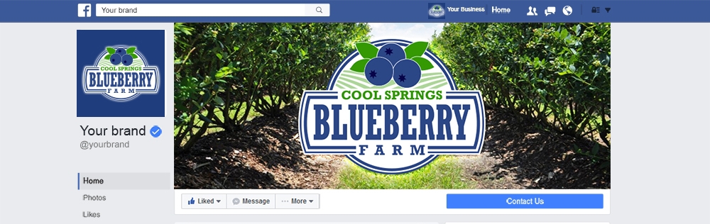 Cool Springs Blueberry Farm logo design by mattlyn