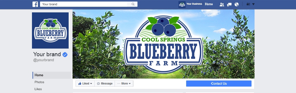 Cool Springs Blueberry Farm logo design by mattlyn