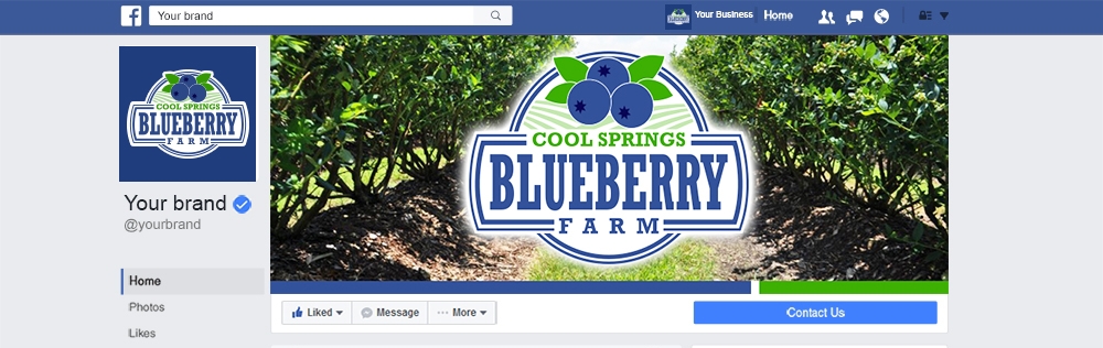 Cool Springs Blueberry Farm logo design by mattlyn