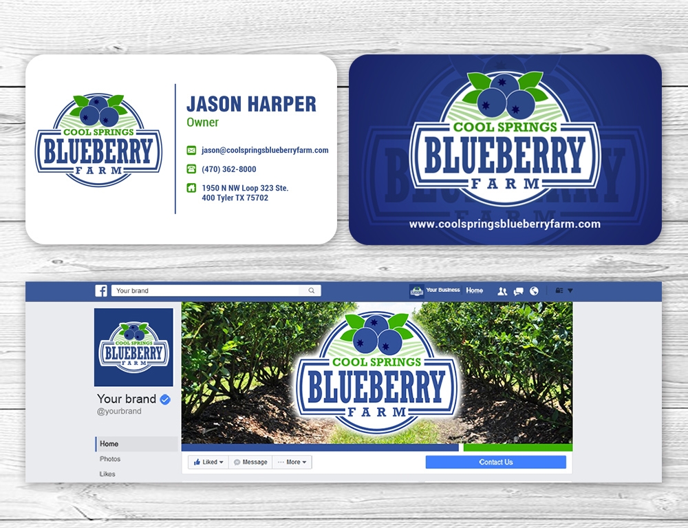 Cool Springs Blueberry Farm logo design by mattlyn