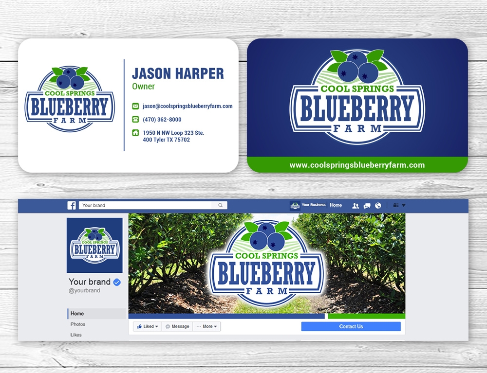 Cool Springs Blueberry Farm logo design by mattlyn