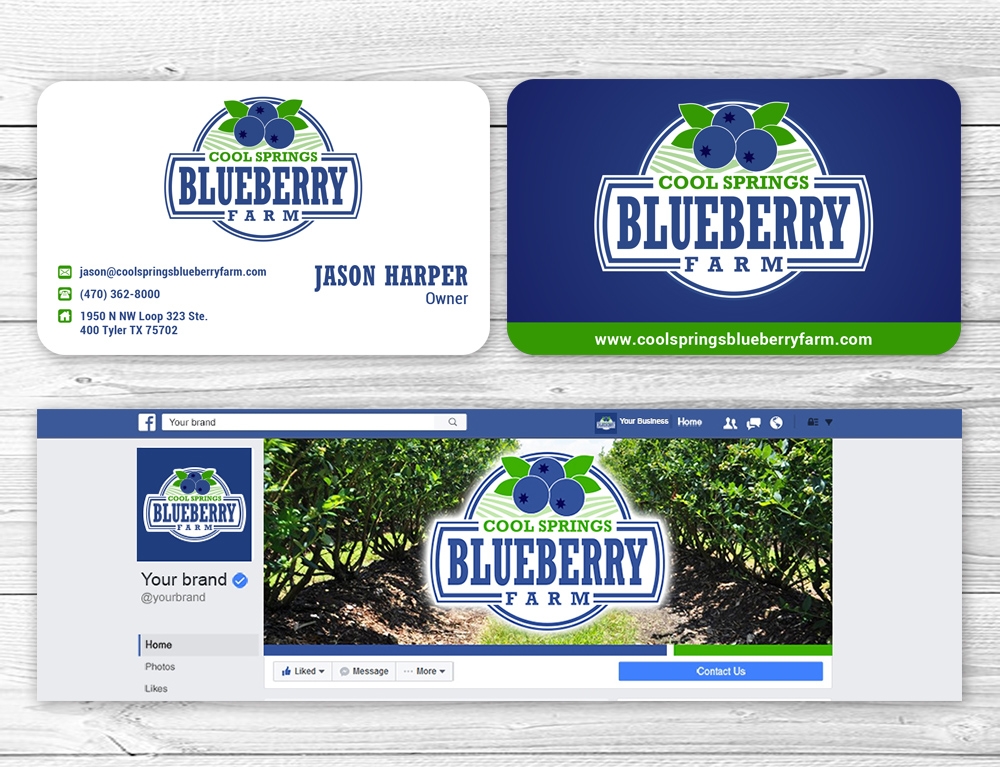 Cool Springs Blueberry Farm logo design by mattlyn