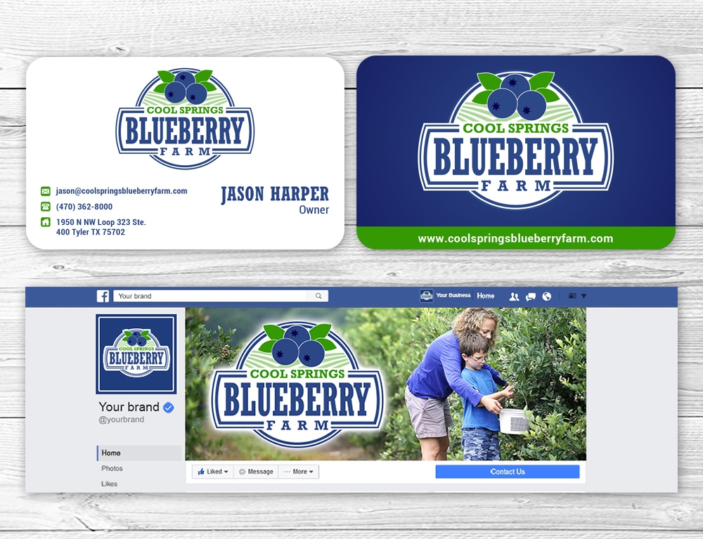 Cool Springs Blueberry Farm logo design by mattlyn