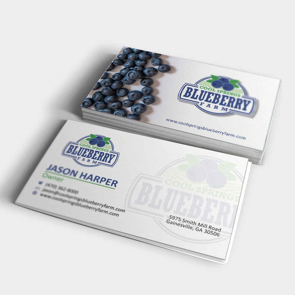 Cool Springs Blueberry Farm logo design by mletus