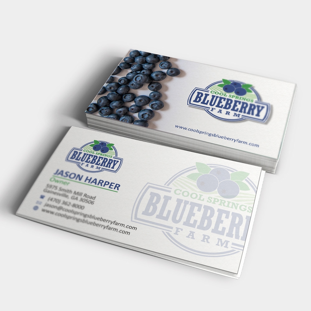Cool Springs Blueberry Farm logo design by mletus