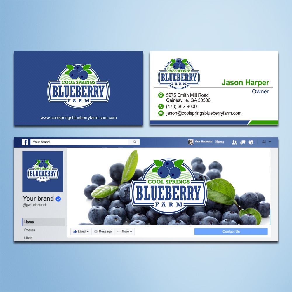 Cool Springs Blueberry Farm logo design by Kindo