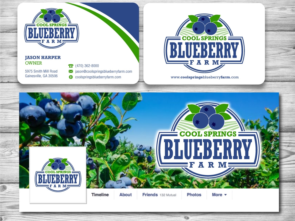 Cool Springs Blueberry Farm logo design by jaize