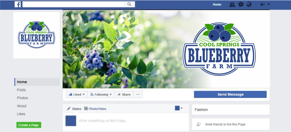 Cool Springs Blueberry Farm logo design by Al-fath