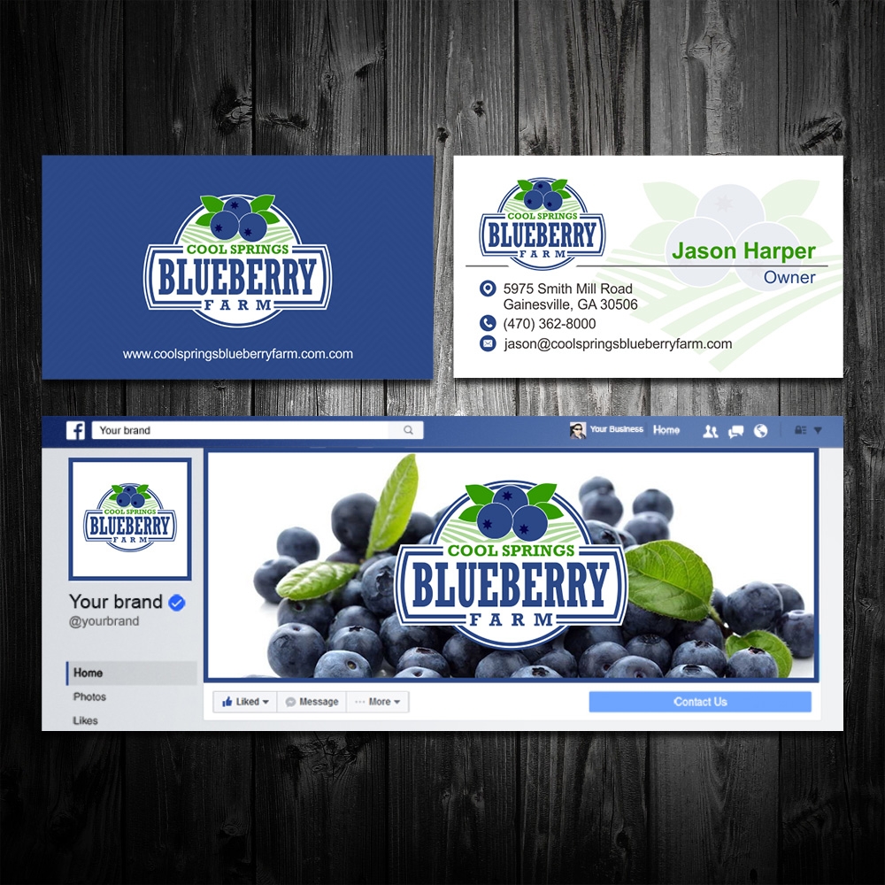Cool Springs Blueberry Farm logo design by Kindo