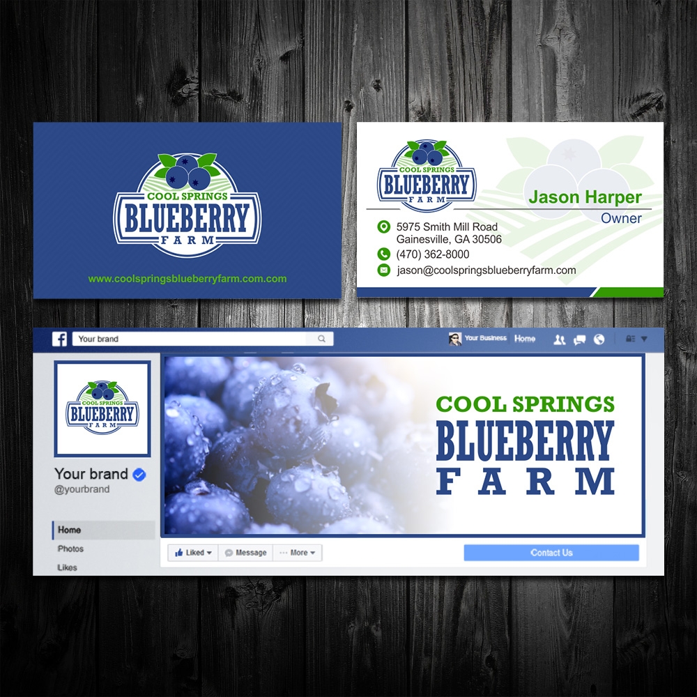 Cool Springs Blueberry Farm logo design by Kindo
